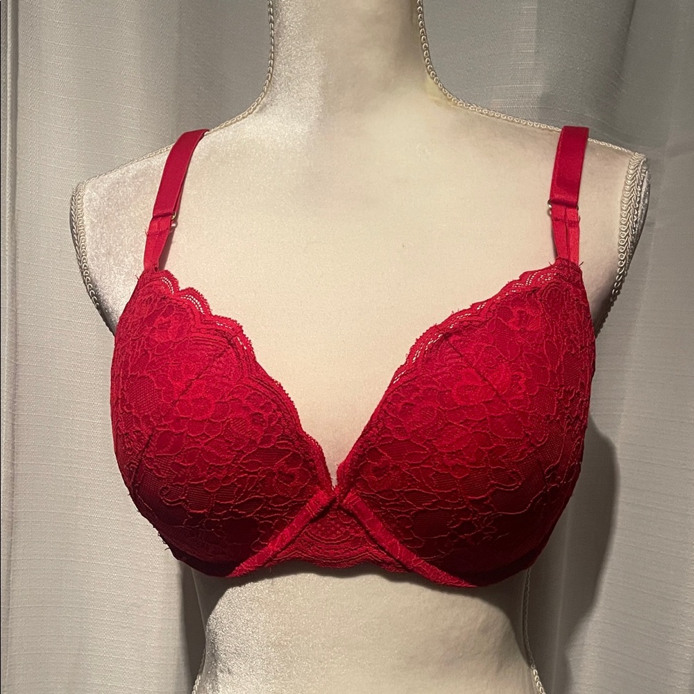 Joyspun Elegant Red Lace Push Up Underwire Bra Sz 38C